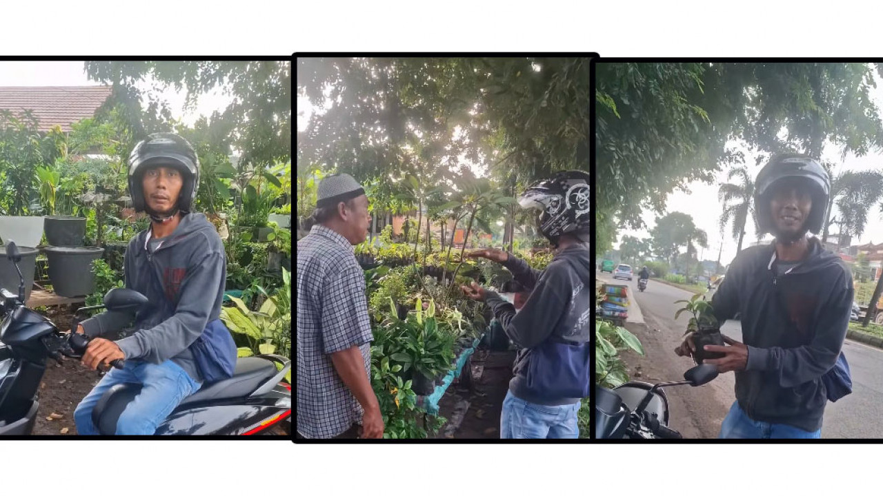 Niat Kabur dari Polisi, Pemotor yang Melanggar Aturan Ini Jadinya Beli Tanaman