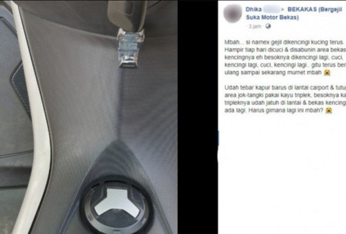 Curhatan Pengendara Motor NMAX Gegara Sering Dikencingin Kucing, Sinyal Nasib Buruk Datang?