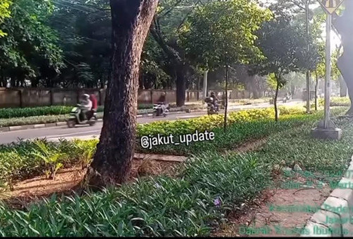 Terpantau Sejumlah Motor Nekat Lawan Arah di Jalan Martadinata, Ancol Timur