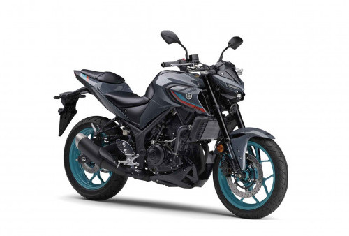 Yamaha MT-25 2025 Meluncur di Jepang, Harga Rp 68 Jutaan