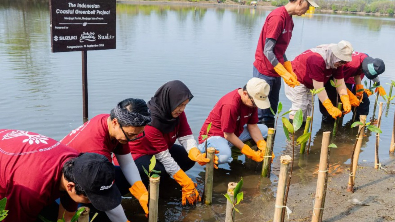 Jaga Pesisir dari Abrasi, Suzuki Tanam Ribuan Mangrove di Pangandaran