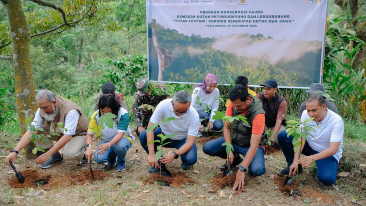 Yayasan AHM Ajak Masyarakat Pekalongan Jaga Kelestarian Satwa Owa Jawa 