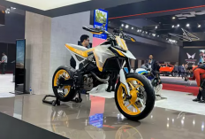 TVS Pamerkan Konsep Supermoto di Ajang Bharat Mobility Expo 2025