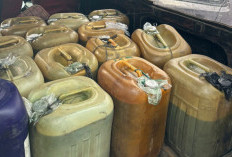 Riau Catat Kasus Penimbunan BBM Subsidi Tertinggi, Pertamina Patra Niaga Ambil Langkah Tegas