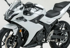 Bocor! Penampakan Suzuki GSX250R Terbaru: Lebih Garang, Lebih Sporty, Tenaganya Ikut Naik