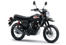 Kawasaki W175 TR 2026: Motor Retro Bergaya Scrambler yang Siap Diajak Bertualang