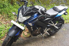 Bajaj Pulsar NS200, Motor Sport 200 Cc Agresif yang Belum Resmi Dijual di Indonesia, Harganya Berapa?