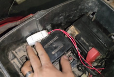 Pemilik Honda BeAT Wajib Tahu, Ini Alat Pengaman Murah yang Bisa Cegah Pencurian