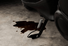 Oli Mesin Motor Rembes Jangan Dianggap Sepele, Ini Penyebab dan Dampaknya pada Mesin