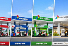 Jangan Asal Belok! Kenali Kode Warna SPBU Pertamina: Dari Kelas 'Reguler' Sampai 'Sultan'