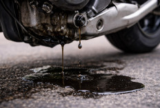 Oli Motor Tiba-Tiba Bocor? Kenali Penyebab Utamanya Sebelum Kerusakan Makin Parah