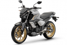 Desain Makin Agresif, Ini Tampang Baru Yamaha Fazer FZ15 2026