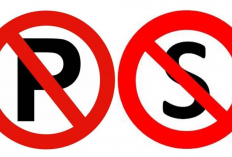 Sering Ketuker! Ini Bedanya Rambu 'P Dicoret' dan 'S Dicoret', Awas Salah Berhenti Bisa Kena Tilang