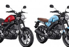 Cek Harga Terbaru Yamaha XSR 155