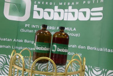 BBM Bobibos Diklaim Setara RON 98 dan Ramah Lingkungan, Ternyata dari Bahan Jerami