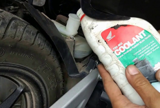 Sering Disepelekan, Ternyata Ini Fungsi Air Radiator Motor dan Cara Merawatnya