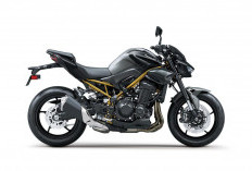 Kawasaki Buka Pre-Order Z900 Batch 3, Harga Mulai Rp 225 Jutaan