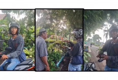 Niat Kabur dari Polisi, Pemotor yang Melanggar Aturan Ini Jadinya Beli Tanaman