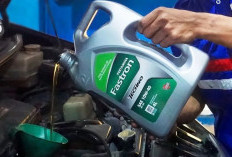 Gunakan Oli Sesuai Peruntukan, Ini Risiko Jika Motor Diisi Oli Mobil 