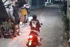 2 Aksi Maling Naik Motor Comot Ayam di Kp. Kedaung, Babelan Bekasi