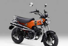 Honda ST125 Dax Dapat Suntikan Warna Baru, Harga Rp 84 Jutaan