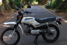 Honda Win 100, Motor Legendaris Tangguh yang Pernah Jadi Andalan di Segala Medan