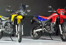 Debut di India, Honda XR300L dan XR300 Rally Siap Menarik Minat Pecinta Motor Adventure