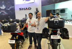Shad Indonesia Rilis 2 Box Motor Terbaru di IMOS 2025, Segini Harga Jualnya!