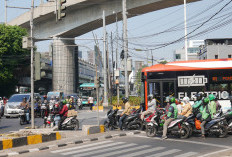 Kampanye #Cari_Aman Wahana Honda, Pantang Lawan Arus di Jalan