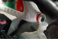 Cuaca Panas Bikin Mesin Cepat Panas, Begini Pentingnya Kondisi Coolant Radiator