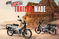 Motor Bebek Trail Honda CT125 2024 Tampil Dengan Warna Baru, Bakalan Hadir di Indonesia Juga?