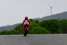 Debut Nicolo Bulega di MotoGP Portugal 2025, Bagnaia: 'Dia Bikin Saya Kagum!'