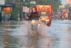 Terpaksa Melewati Banjir, Apakah Perlu Langsung Ganti Oli Motor? Ini Penjelasannya