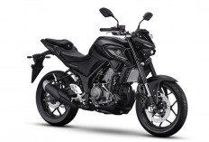 Update Harga Yamaha MT-25 September 2026, Naked Bike 250 cc Bergaya Agresif dengan Performa Tangguh