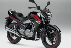 Fakta Menarik Suzuki Inazuma 250, Motor Legend yang Jarang Dibahas