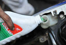Pengguna Motor Honda Wajib Tahu, Ini Keunggulan Pakai Coolant Honda untuk Mesin Lebih Awet