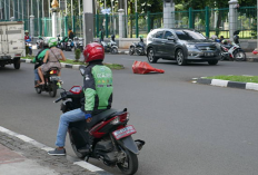 Lebih dari Sekadar Pelindung, Cover Plat Nomor Juga Harus Dirawat Sob!