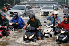 Motor Mendadak Mati Saat Terjang Banjir? Ini Langkah Aman yang Wajib Dilakukan
