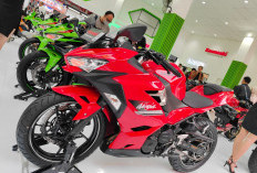 Cek Harga Seken Kawasaki Ninja 250 Berbagai Tipe, Mulai Rp 11 Jutaan