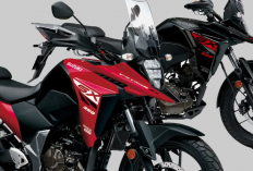 Motor Adventure Suzuki V-Strom 250SX Model 2025 Resmi Meluncur, Punya Tampilan Warna Baru Lebih Menarik