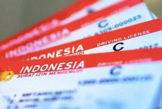 Perbedaan Sanksi Tidak Punya SIM dan Lupa Membawa SIM, Ini Penjelasan Hukum Lengkapnya