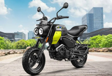 CFMoto Papio XO-2 2026, Minimoto Bergaya Scrambler dengan Desain Unik dan Fitur Modern
