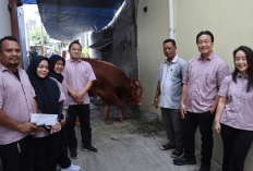 Perkuat Komitmen Sosial ke Masyarakat, Wahana Artha Group Salurkan Hewan Qurban untuk Warga Gunung Sahari