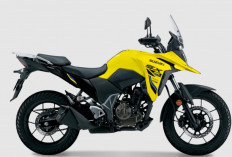 Update Harga Suzuki V-Strom 250 SX di Bulan April 2026: Motor Adventure Ringan yang Siap Diajak Jelajah Jauh
