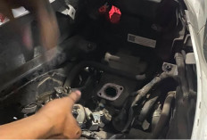 Mengenal Fungsi Throttle Body Motor dan Cara Merawatnya agar Performa Tetap Optimal