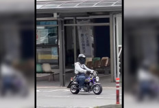 Moge Minggir Dulu! Komunitas Jepang Ini Viral Karena Touring Pakai Motor  'Liliput', Gemoy Banget!