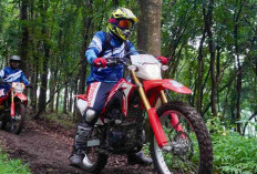 Honda CRF150L Unjuk Kemampuan di Trawas, Event Trail Adventure East Java 2025 Sukses Digelar 