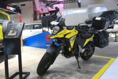 Sikat Bro! Suzuki Unjuk Gigi di IIMS 2026, Bawa Motor Matic Mewah Sampai Motor Touring Tangguh