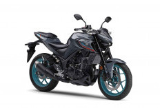 Yamaha MT-25 2025 Meluncur di Jepang, Harga Rp 68 Jutaan