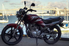 Yamaha Scorpio Z, Motor Tangguh yang Sulit Dilupakan